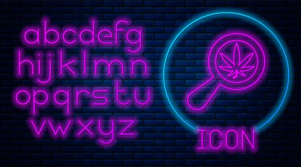 Zářící neon Lupa a lékařská marihuana nebo konopný list ikona izolované na pozadí cihlové zdi. Symbol konopí. Neonová světlá abeceda. Vektorová ilustrace — Stockový vektor