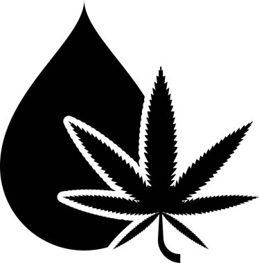 Siyah tıbbi marihuana ya da kenevir yaprağı zeytinyağı damlası ikonu beyaz arka planda izole edilmiş. Esrar özütü. Kenevir sembolü. Vektör İllüstrasyonu