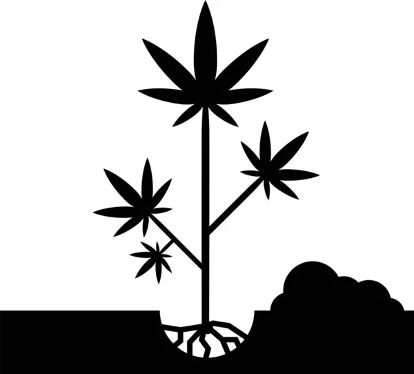 Black Planting marijuana or cannabis plant in the ground icon isolated on white background. Marijuana growing concept. Hemp symbol. Vector Illustration — Stock Vector