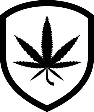 Siyah Kalkan ve marihuana ya da beyaz arka plan üzerinde izole esrar yaprağı simgesi. Marihuana yasallaştırma. Kenevir sembolü. Vektör İllüstrasyonu