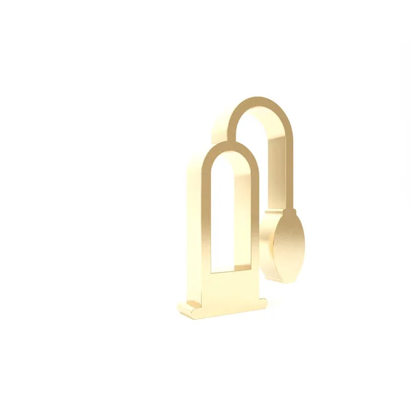 Gold Penispumpe Symbol isoliert auf weißem Hintergrund. Penisvergrößerung. Sexspielzeug für Männer. Vakuumpumpe mit Gebläse, um den Penis zu vergrößern. 3D Illustration 3D Renderer — Stockfoto