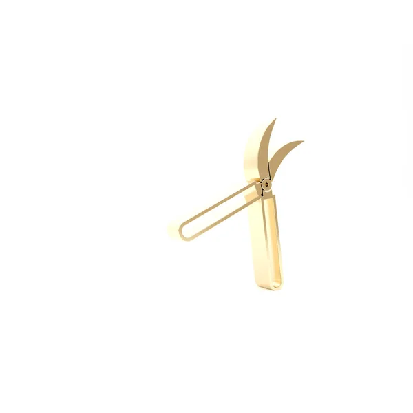 Золоті садові ножиці ручної роботи для обрізки значка ізольовані на білому тлі. Обрізка ножиць дерев'яними ручками. 3D ілюстрація 3D рендеринга — стокове фото