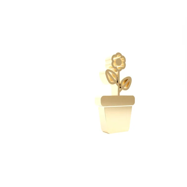 Золотой цветок в горшок значок изолирован на белом фоне. Растение растет в кастрюле. Вывеска с цветами. 3D-рендеринг — стоковое фото