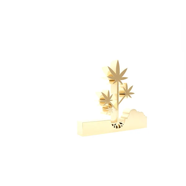 Goldpflanzung Marihuana oder Cannabis-Pflanze in den Boden Symbol isoliert auf weißem Hintergrund. Marihuana-Anbaukonzept. Hanf-Symbol. 3D Illustration 3D Renderer — Stockfoto