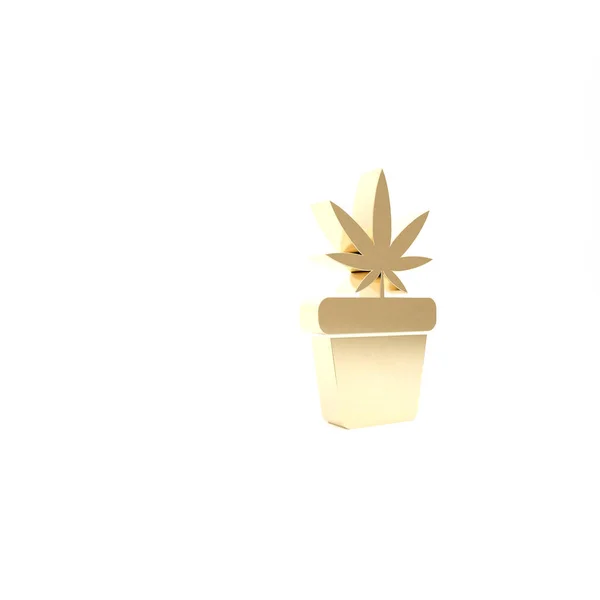 Arany Orvosi marihuána vagy cannabis növény pot ikon elszigetelt fehér alapon. Marihuána termesztés koncepció. Kendercserepes növény. 3d illusztráció 3d render — Stock Fotó