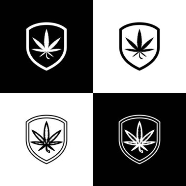 Set Shield ve esrar veya esrar yaprak simgesi siyah ve beyaz arka plan izole. Marihuana yasallaştırma. Kenevir sembolü. Vektör İllüstrasyonu