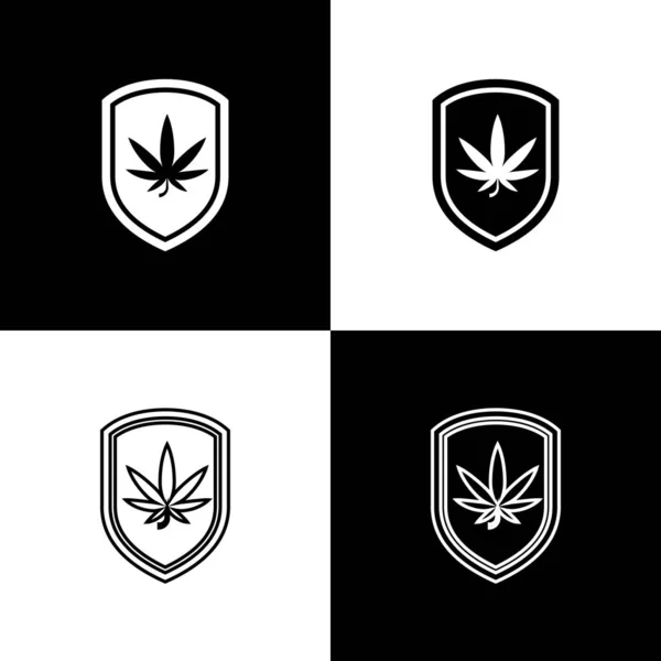 Definir escudo e maconha ou ícone folha de cannabis isolado em fundo preto e branco. Legalização da marijuana. Símbolo de cânhamo. Ilustração vetorial —  Vetores de Stock