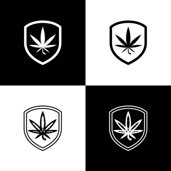 Set Shield y marihuana o icono de hoja de cannabis aislados sobre fondo blanco y negro. Legalización de la marihuana. Un símbolo de cáñamo. Ilustración vectorial — Vector de stock