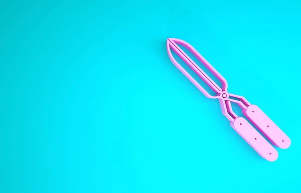 Pink Gardening handmade scissors for trimming icon isolated on blue background. Pruning shears with wooden handles. Minimalism concept. 3d illustration 3D render — Stock Photo, Image