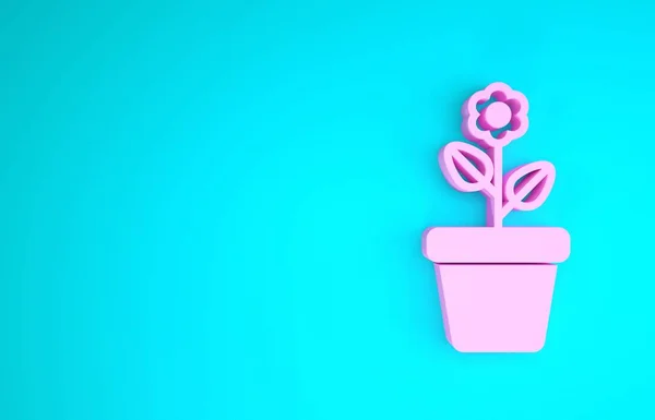 Розовый цветок в горшке иконка выделена на синем фоне. Растение растет в кастрюле. Вывеска с цветами. Концепция минимализма. 3D-рендеринг — стоковое фото