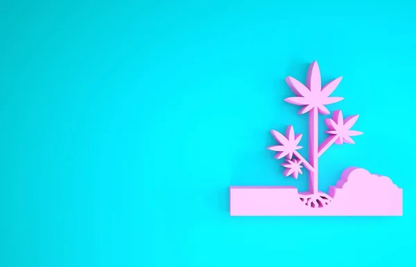 Roze Marihuana planten of cannabis planten in de grond icoon geïsoleerd op blauwe achtergrond. Marihuana kweekconcept. Hennep symbool. Minimalisme concept. 3d illustratie 3d renderen — Stockfoto