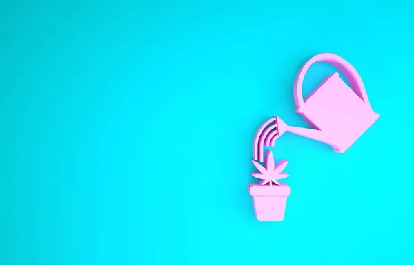 Pink Watering puede rociar gotas de agua por encima de la marihuana o planta de cannabis en ícono de marihuana aislado sobre fondo azul. Concepto de cultivo de marihuana. Concepto minimalista. 3D ilustración 3D render —  Fotos de Stock