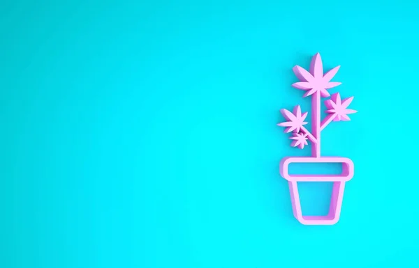 Różowa marihuana medyczna lub marihuana w ikonie marihuany izolowane na niebieskim tle. Koncepcja uprawy marihuany. Konopna roślina doniczkowa. Koncepcja minimalizmu. Ilustracja 3d — Zdjęcie stockowe