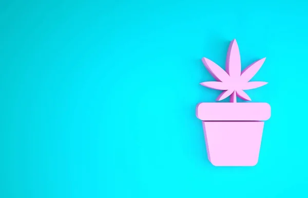 Rosa Marihuana medicinal o planta de cannabis en maceta icono aislado sobre fondo azul. Concepto de cultivo de marihuana. Planta en maceta de cáñamo. Concepto minimalista. 3D ilustración 3D render — Foto de Stock