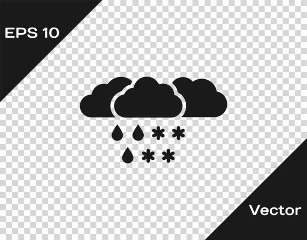 Nuvem cinza com ícone de neve e chuva isolado em fundo transparente. Ícone meteorológico. Ilustração vetorial — Vetor de Stock