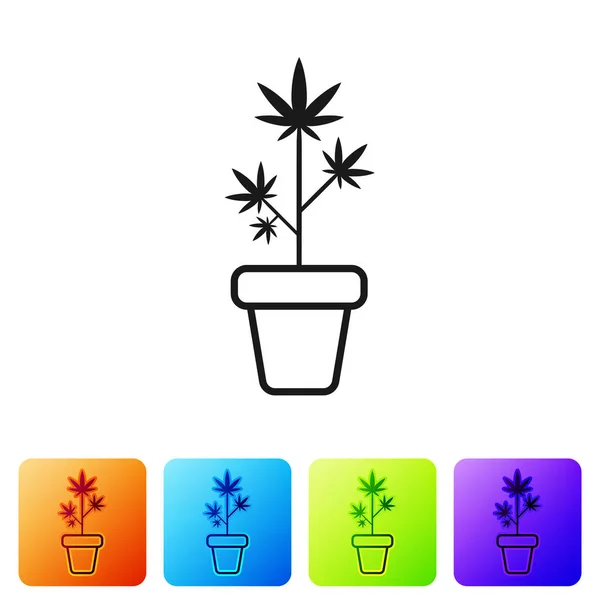 Marihuana medicinal negra o planta de cannabis en maceta icono aislado sobre fondo blanco. Concepto de cultivo de marihuana. Planta en maceta de cáñamo. Establecer iconos en botones cuadrados de color. Ilustración vectorial — Archivo Imágenes Vectoriales