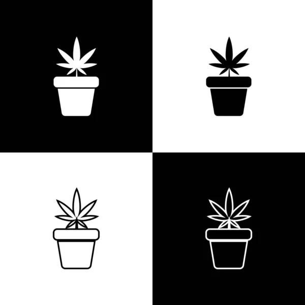 Defina a maconha medicinal ou planta de cannabis no ícone do pote isolado no fundo preto e branco. Conceito de cultivo de marijuana. Planta em vaso de cânhamo. Ilustração vetorial —  Vetores de Stock