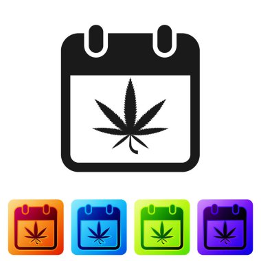 Siyah takvim ve marihuana veya kenevir yaprağı ikonu beyaz arka planda izole edilmiş. Ulusal esrar günü. Kenevir sembolü. Renkli kare düğmelerle simgeleri ayarla. Vektör İllüstrasyonu