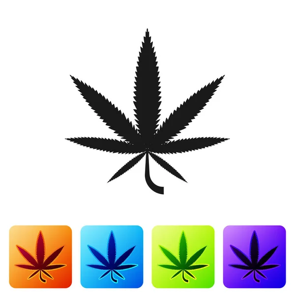 Zwarte medicinale marihuana of cannabis blad icoon geïsoleerd op witte achtergrond. Hennep symbool. Stel pictogrammen in kleur vierkante knoppen. Vector Illustratie — Stockvector