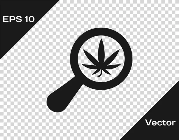 Lente d'ingrandimento grigia e icona medica di marijuana o foglie di cannabis isolata su sfondo trasparente. Simbolo di canapa. Illustrazione vettoriale — Vettoriale Stock