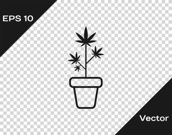 Graues medizinisches Marihuana oder Cannabis-Pflanze im Topf Symbol isoliert auf transparentem Hintergrund. Marihuana-Anbaukonzept. Hanftopfpflanze. Vektorillustration — Stockvektor