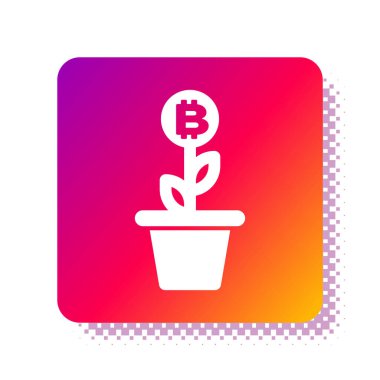Beyaz arka planda izole edilmiş çömlek ikonundaki beyaz Bitcoin bitkisi. İş yatırımı büyüme konsepti. Engelleme teknolojisi, kripto para madenciliği. Kare renk düğmesi. Vektör İllüstrasyonu