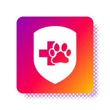 Beyaz Hayvan Sağlık Sigortası ikonu beyaz arka planda izole edildi. Hayvan koruma ikonu. Köpek ya da kedi pençesi izi. Kare renk düğmesi. Vektör İllüstrasyonu