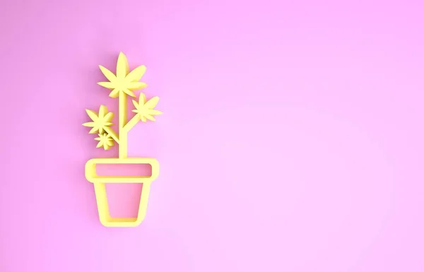 Maconha medicinal amarela ou planta de cannabis no ícone do pote isolado no fundo rosa. Conceito de cultivo de marijuana. Planta em vaso de cânhamo. Conceito de minimalismo. 3D ilustração 3D render — Fotografia de Stock