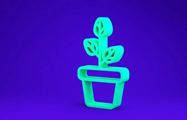 Grüne Blumen im Topf Symbol isoliert auf blauem Hintergrund. Pflanze, die im Topf wächst. Topfpflanzenschild. Minimalismus-Konzept. 3D Illustration 3D Renderer — Stockfoto