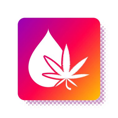 Beyaz arka planda izole edilmiş beyaz tıbbi marihuana veya kenevir yaprağı zeytinyağı damlası ikonu. Esrar özütü. Kenevir sembolü. Kare renk düğmesi. Vektör İllüstrasyonu