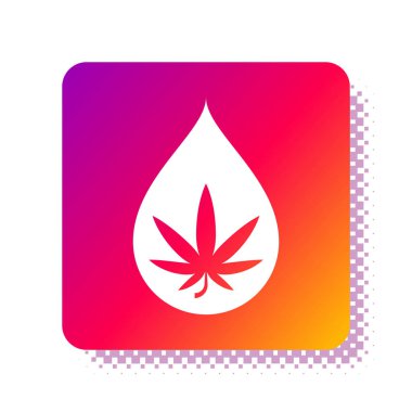 Beyaz arka planda izole edilmiş beyaz tıbbi marihuana veya kenevir yaprağı zeytinyağı damlası ikonu. Esrar özütü. Kenevir sembolü. Kare renk düğmesi. Vektör İllüstrasyonu