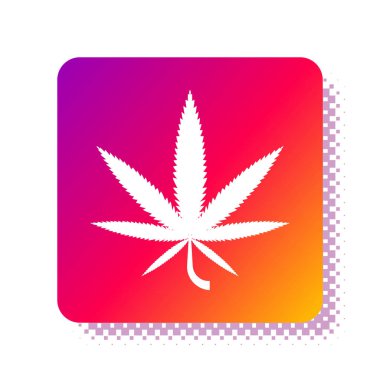 Beyaz arka planda beyaz tıbbi marihuana ya da kenevir yaprağı ikonu var. Kenevir sembolü. Kare renk düğmesi. Vektör İllüstrasyonu