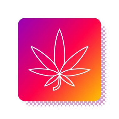 Beyaz arka planda beyaz tıbbi marihuana ya da kenevir yaprağı ikonu var. Kenevir sembolü. Kare renk düğmesi. Vektör İllüstrasyonu