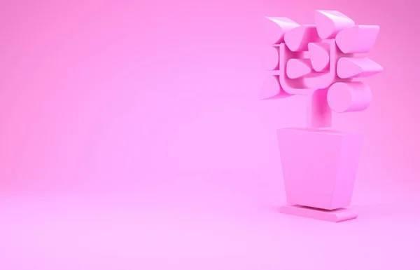 Pink Plant no ícone do pote isolado no fundo rosa. Planta crescendo em um pote. Planta em vaso. Conceito de minimalismo. 3D ilustração 3D render — Fotografia de Stock