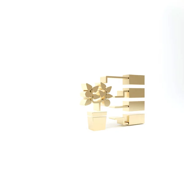 Ícone de análise de flor de ouro isolado no fundo branco. 3D ilustração 3D render — Fotografia de Stock