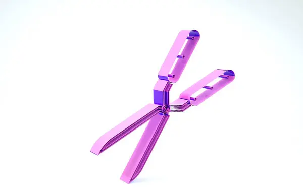 Фиолетовые садовые ножницы ручной работы для триколора на белом фоне. Обрезка ножниц с деревянными ручками. 3D-рендеринг — стоковое фото