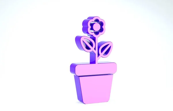 Flor púrpura en maceta icono aislado sobre fondo blanco. Planta creciendo en una maceta. Signo de planta en maceta. 3D ilustración 3D render —  Fotos de Stock