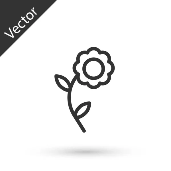 Línea gris Icono de flor aislado sobre fondo blanco. Ilustración vectorial — Vector de stock