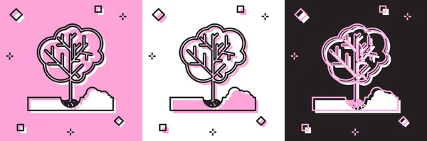 Zestaw Sadzenie drzewa w ziemi ikony izolowane na różowym i białym, czarnym tle. Ogrodnictwo, rolnictwo, troska o środowisko. Ilustracja wektora — Wektor stockowy
