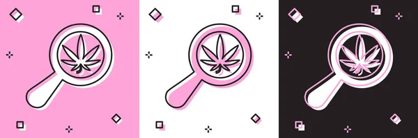 Zestaw Szkło powiększające i medyczna marihuana lub ikona liści marihuany izolowane na różowym i białym, czarnym tle. Symbol konopi. Ilustracja wektora — Wektor stockowy