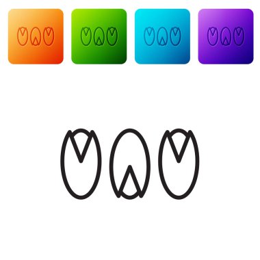 Siyah çizgi Pistachio fındık ikonu beyaz arkaplanda izole edilmiş. Renkli kare düğmelerle simgeleri ayarla. Vektör İllüstrasyonu