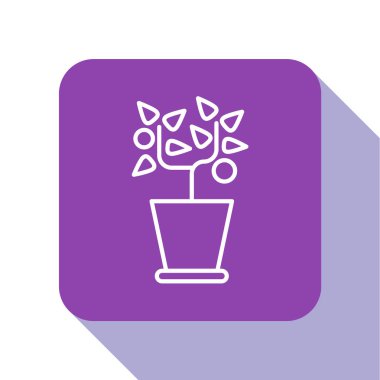 Beyaz çizgili saksı bitkisi beyaz arkaplanda izole edilmiş. Tencerede yetişen bir bitki. Saksı bitkisi işareti. Mor kare düğme. Vektör İllüstrasyonu