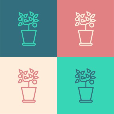 Renk çizgisi Esrar simgesinde bitki renk arkaplanında izole edildi. Tencerede yetişen bir bitki. Saksı bitkisi işareti. Vektör İllüstrasyonu
