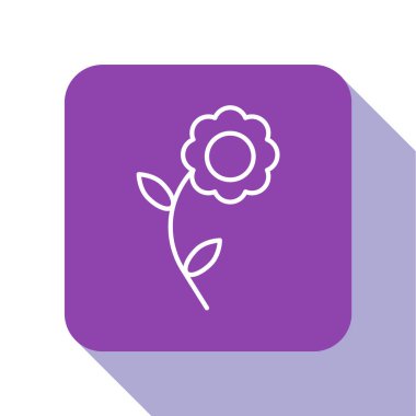 Beyaz çizgi çiçek simgesi beyaz arkaplanda izole edildi. Mor kare düğme. Vektör İllüstrasyonu