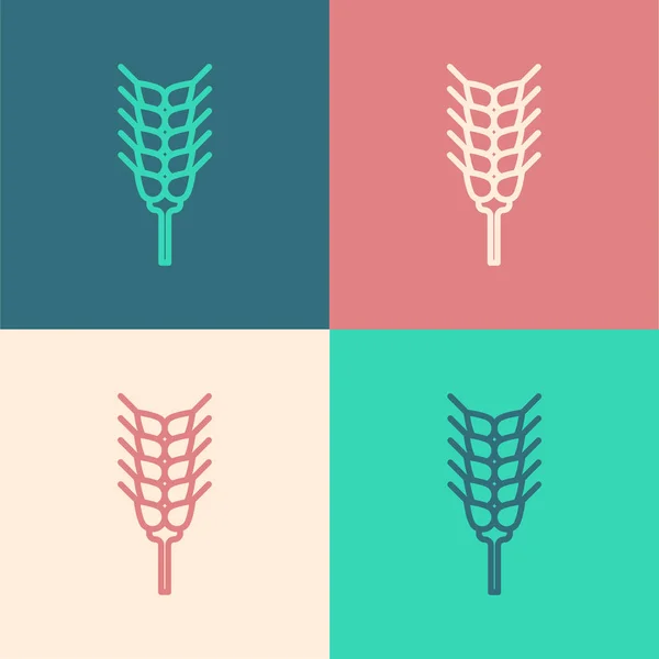 Farbe Linie Getreide Mit Reis Weizen Mais Hafer Roggen Gerste — Stockvektor