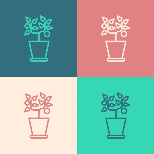 Barva Čára Rostlina Hrnci Ikony Izolované Barevném Pozadí Rostlina Roste — Stockový vektor