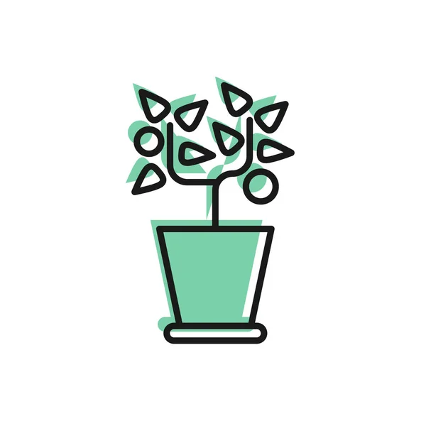 Zwarte lijn Plant in pot icoon geïsoleerd op witte achtergrond. Planten groeien in een pot. Plantenteken. Vector Illustratie — Stockvector