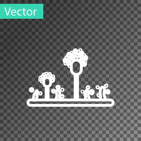 Linha branca Ícone de molde isolado em fundo transparente. Ilustração vetorial — Vetor de Stock