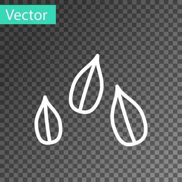 白线芝麻籽图标孤立在透明的背景下. 病媒图解 — 图库矢量图片