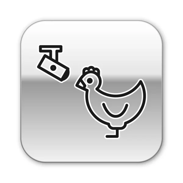Black line Chicken farm and wireless Controlling CCTV security camera icon isolated on white background. Silver square button. Vector Illustration — Stock Vector